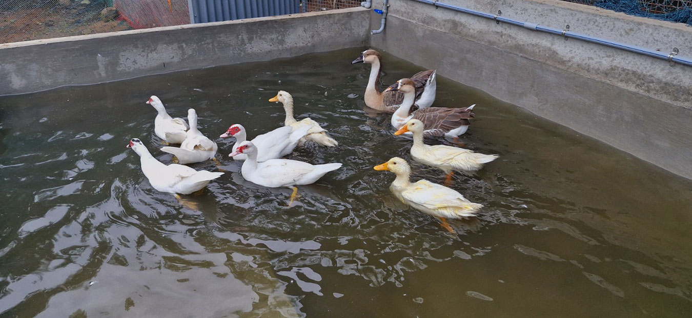 Aruloudhayam Ashram retreat